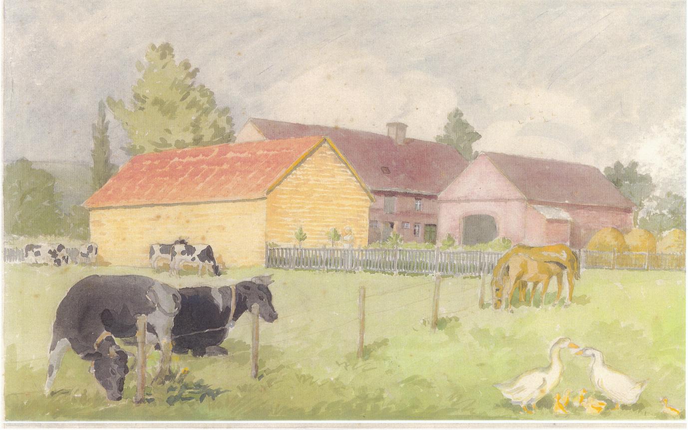 Gieshübel Nr. 42